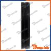 Poulie damper vilebrequin pour PEUGEOT | RKP-PE-007, 10009